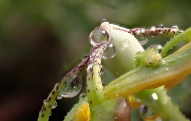 P1124747a.jpg